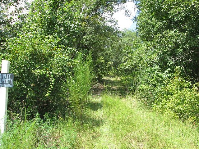 2nd image of 826 Slab Landing Rd