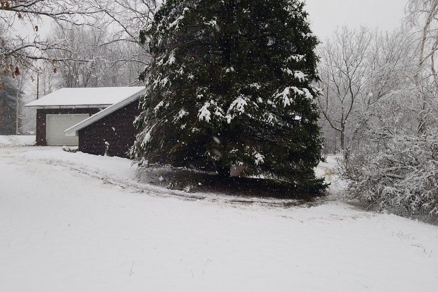 1st image of 5494 N 180th Ave