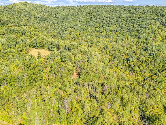 Prillaman Switch Rd 001