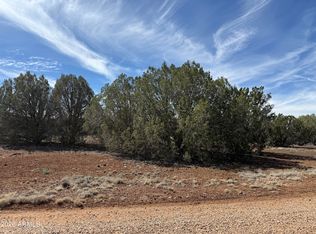 8389 BEAR MEADOW Drive #4, Show Low, AZ 85901