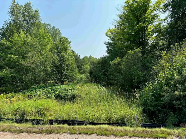 21569 River Trails Rd, Houghton, MI 49931