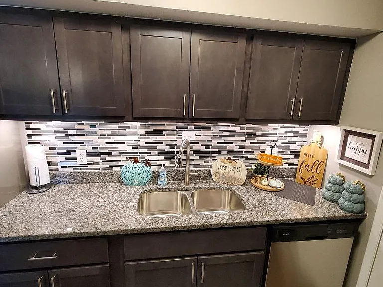 Kitchen Cabinets with Double Sink