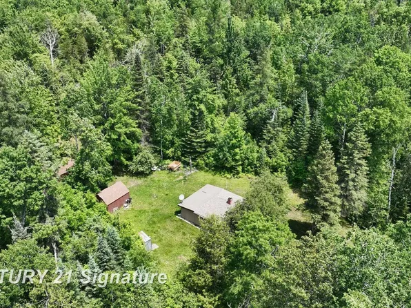 6002 Wildwood Rd, Alger, MI 48610