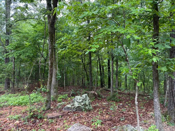 37 Tall Pine Cir, Norfork, AR 72658