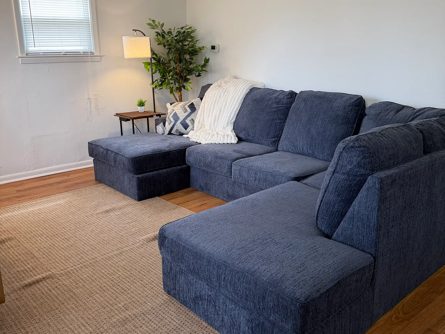 1 bed, 800 sqft, $1,500 — Photo 2