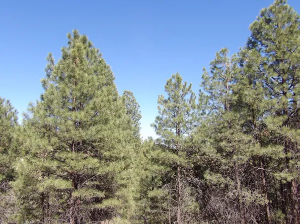 1601 Moqui Dr, Happy Jack, AZ 86024