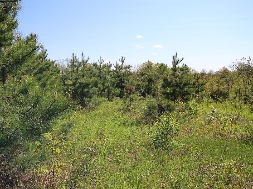 2nd image of 144 Conifer Trl