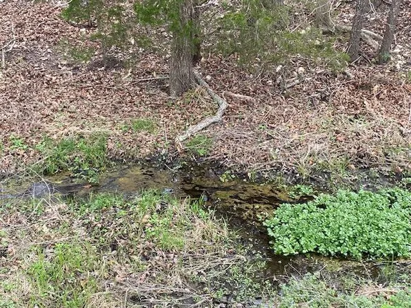 000 Washboard Road, Fordland, MO 65652