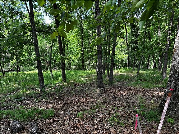 2nd image of LOT 100 E Robin Rd