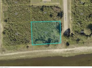 6001 Elaine Ave N, Lehigh Acres, FL 33971