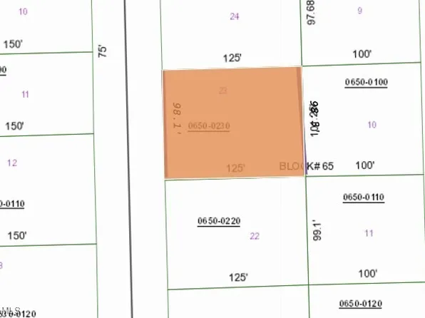 120 Saint Lucie St, Florahome, FL 32140