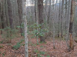 10 Possum Valley Rd, Mountain City, TN 37683