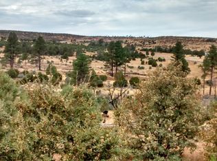 260 Tbd State Rte, Overgaard, AZ 85933