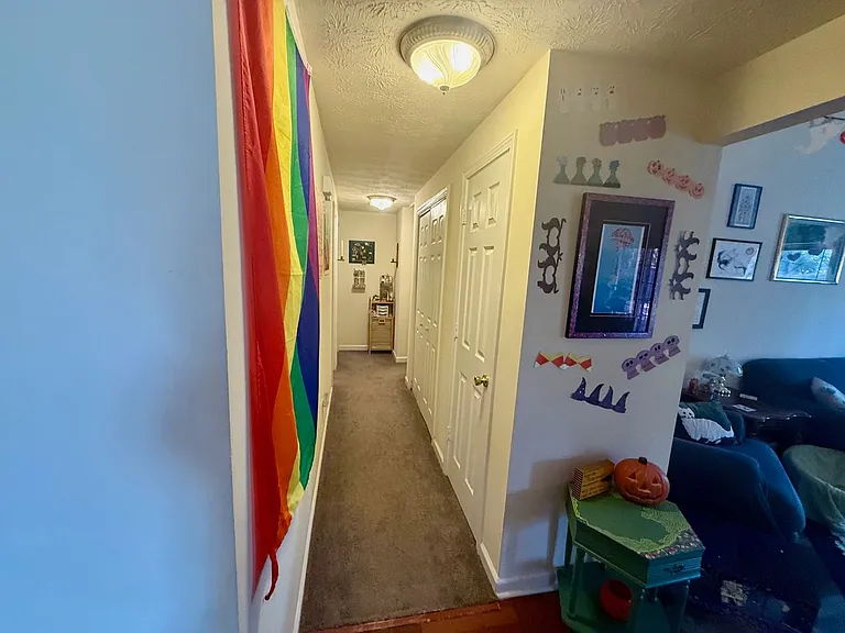 115 Knob Lick Dr — Photo 16