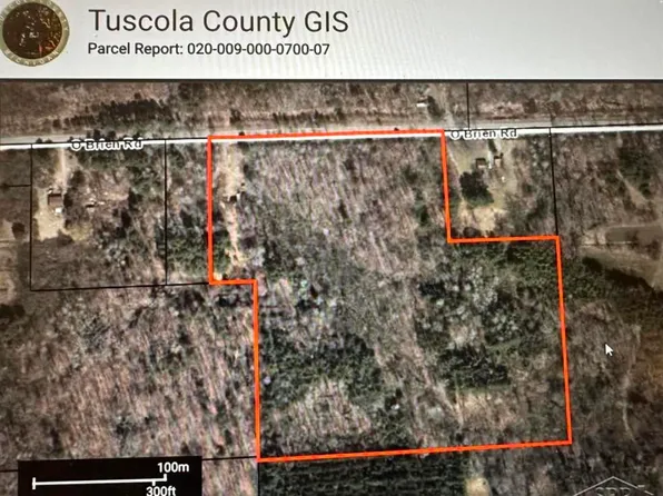 Obrien Rd, Vassar, MI 48768