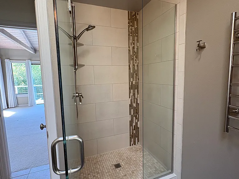 primary BR ensuite bathroom with shower