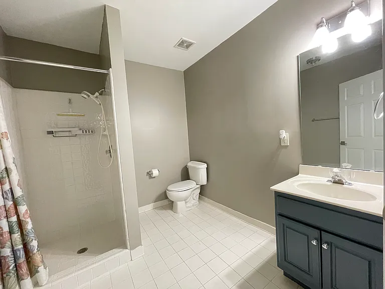 Basement-bonus room bathroom