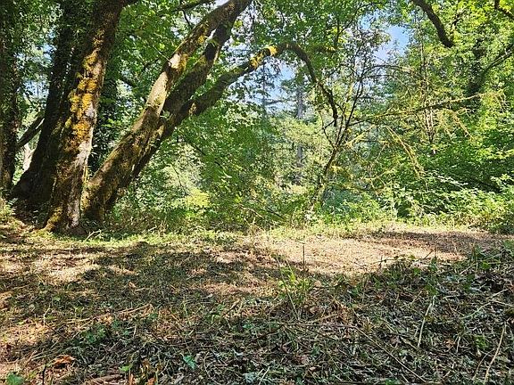 4th image of 0 Washougal River Rd #104