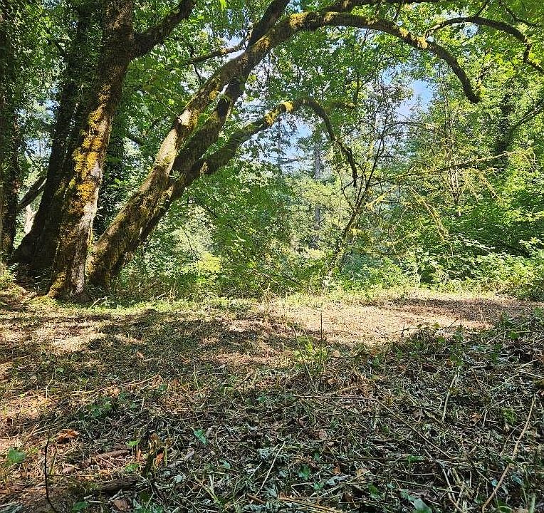 1st image of 0 Washougal River Rd #103