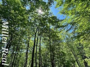 V/l Wood School Rd, Freeport, MI 49325