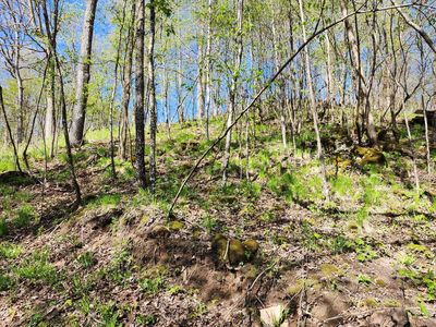 0 COUNTY ROAD P, Ontario, WI, 54651