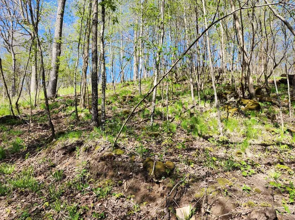 0 COUNTY ROAD P, Ontario, WI 54651