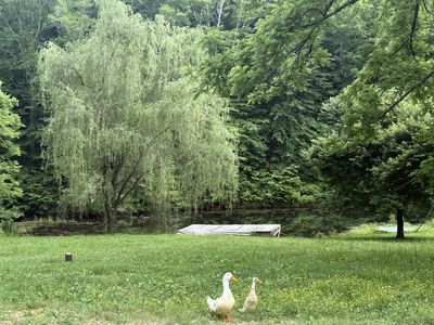 900 Carter Hollow Rd, Linden, TN, 37096