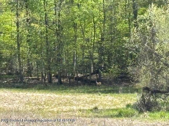 4th image of 0 W Jason Rd