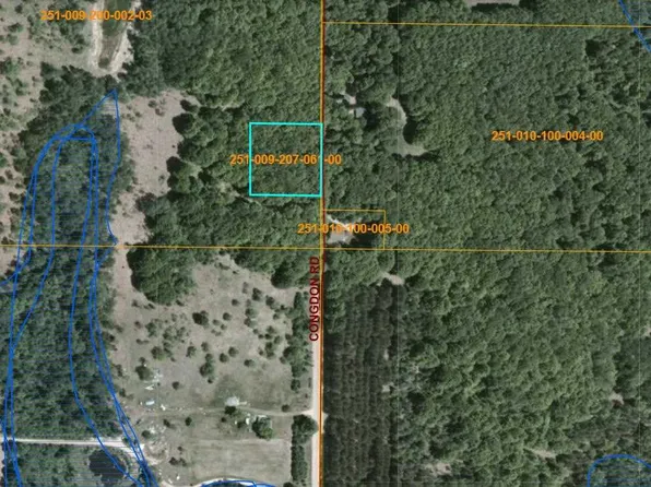 13200 Congdon Rd, Wolverine, MI 49799