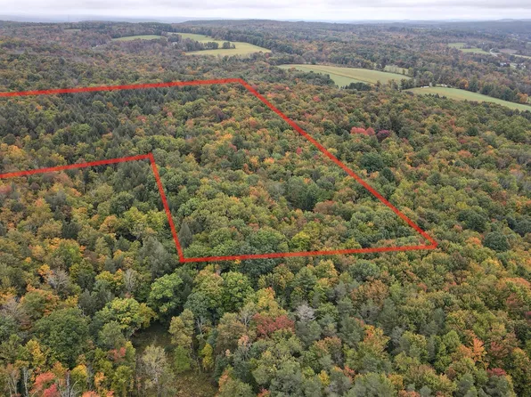 134 Page Rd, Chenango Forks, NY 13746
