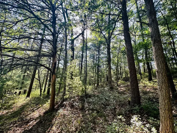 Vl Us 31 Bus, Pentwater, MI 49449