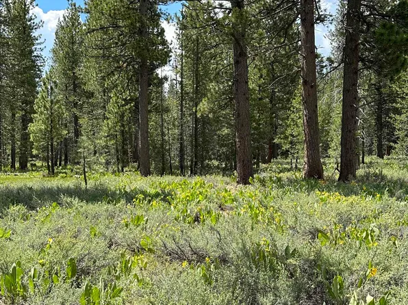 10511 Silverado Way, Truckee, CA 96161