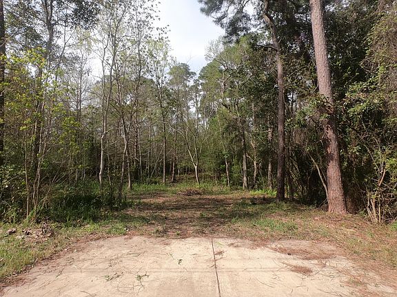 2nd image of 2023 Sandpiper Ln
