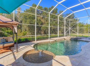 20310 Natures Corner Dr, Tampa, FL 33647