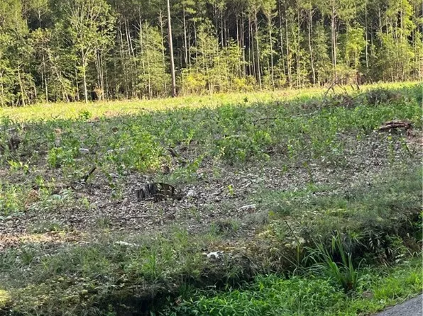 Newville Rd, Waverly, VA 23890