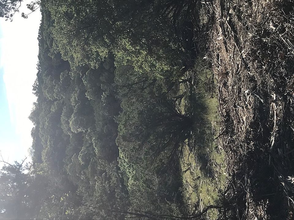 2nd image of 135 Windmill Rd