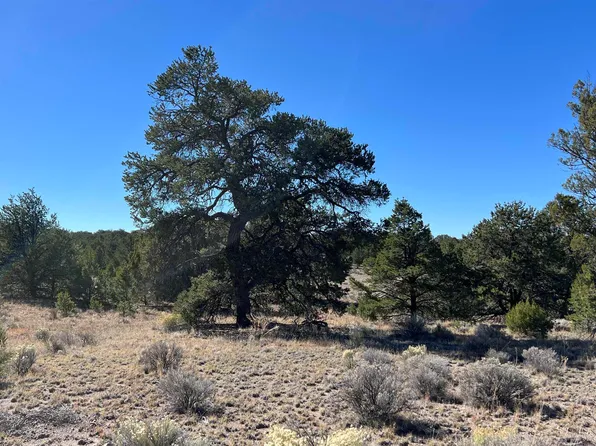 Pinewood Cir, Pie Town, NM 87827