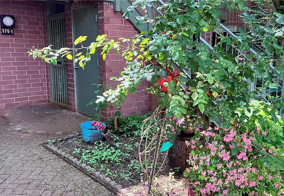 1st image of 570 Louisiana Avenue #1