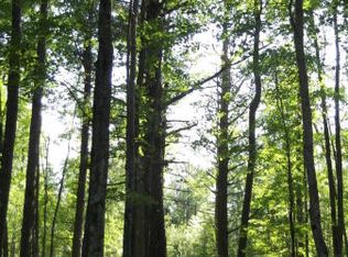 Smiley Rd #41.61, Athelstane, WI 54104