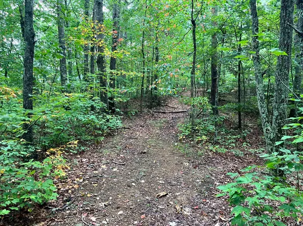 305 Stuples Hollow Rd, Craigsville, VA 24430