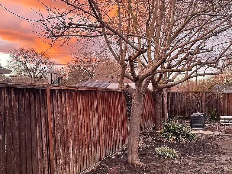 ~Enjoy the big, shared backyard