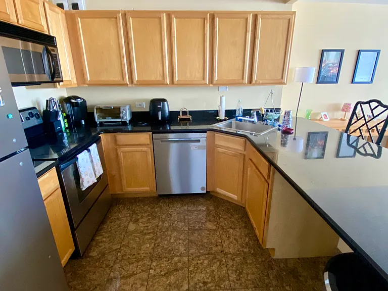 525 W Hawthorne Pl #2104 — Photo 6