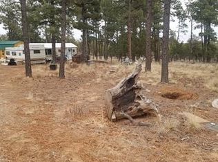 11 Abbeville St, Timberon, NM 88350