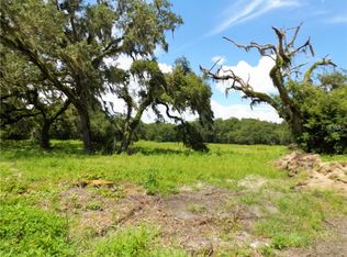 418 Clay Drain Rd, Wildwood, FL 34785