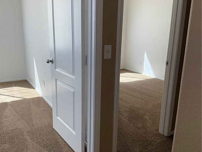 10519 Allegrini Dr — Photo 13