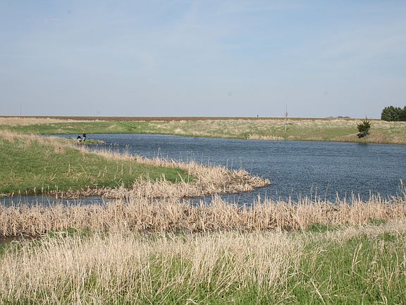 Public water access