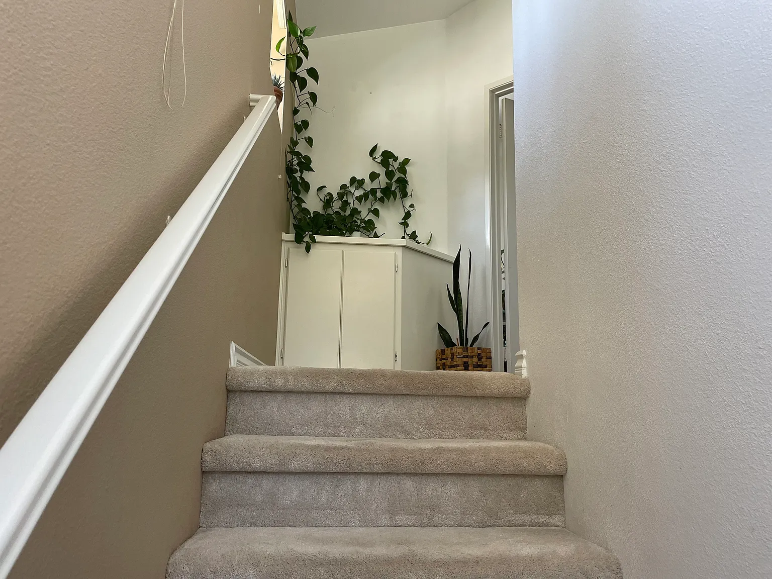2 bed, 2.5 bath, 1217 sqft, $4,385 — Photo 3