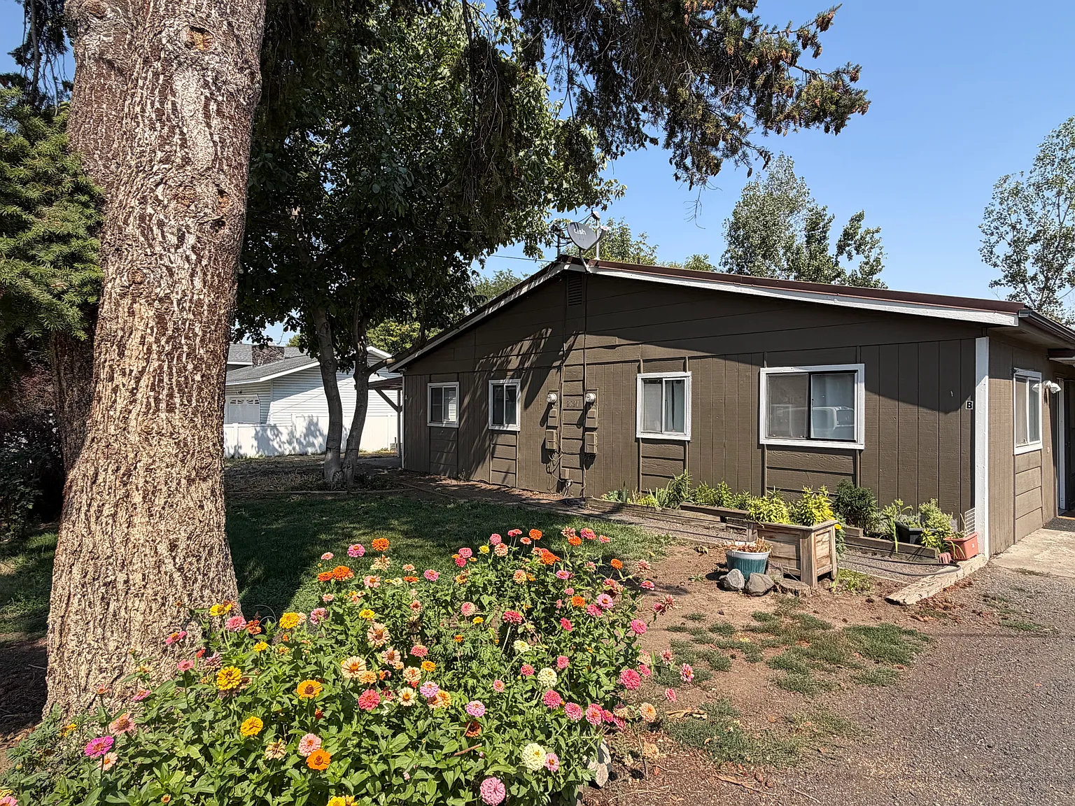 2 bed, 910 sqft, $1,600 — Photo 3