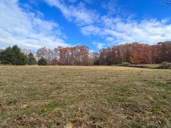 408 Chaffee St, Harpursville, NY 13787