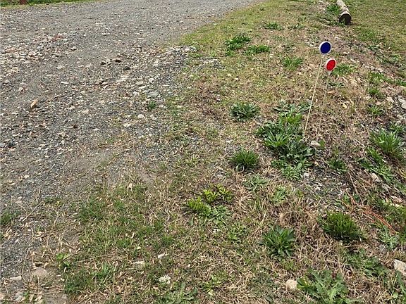 4th image of 9079 N State Highway 109